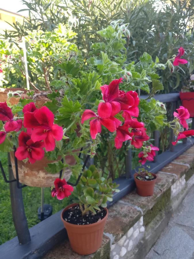 Caicai Bed And Breakfast Saluzzo Exterior foto